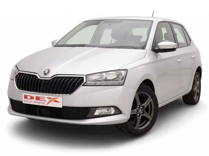 Skoda Fabia 1.0 TSi 95 Ambition + GPS + Alu16 Image 1